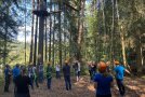 Blick nach oben in den Hochseilgarten