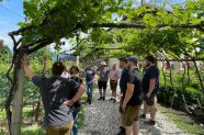Personen stehen unter Bögen mit Weinreben