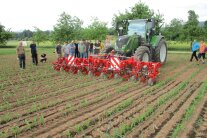 Personen stehen auf Feld um Traktor mit Hacke